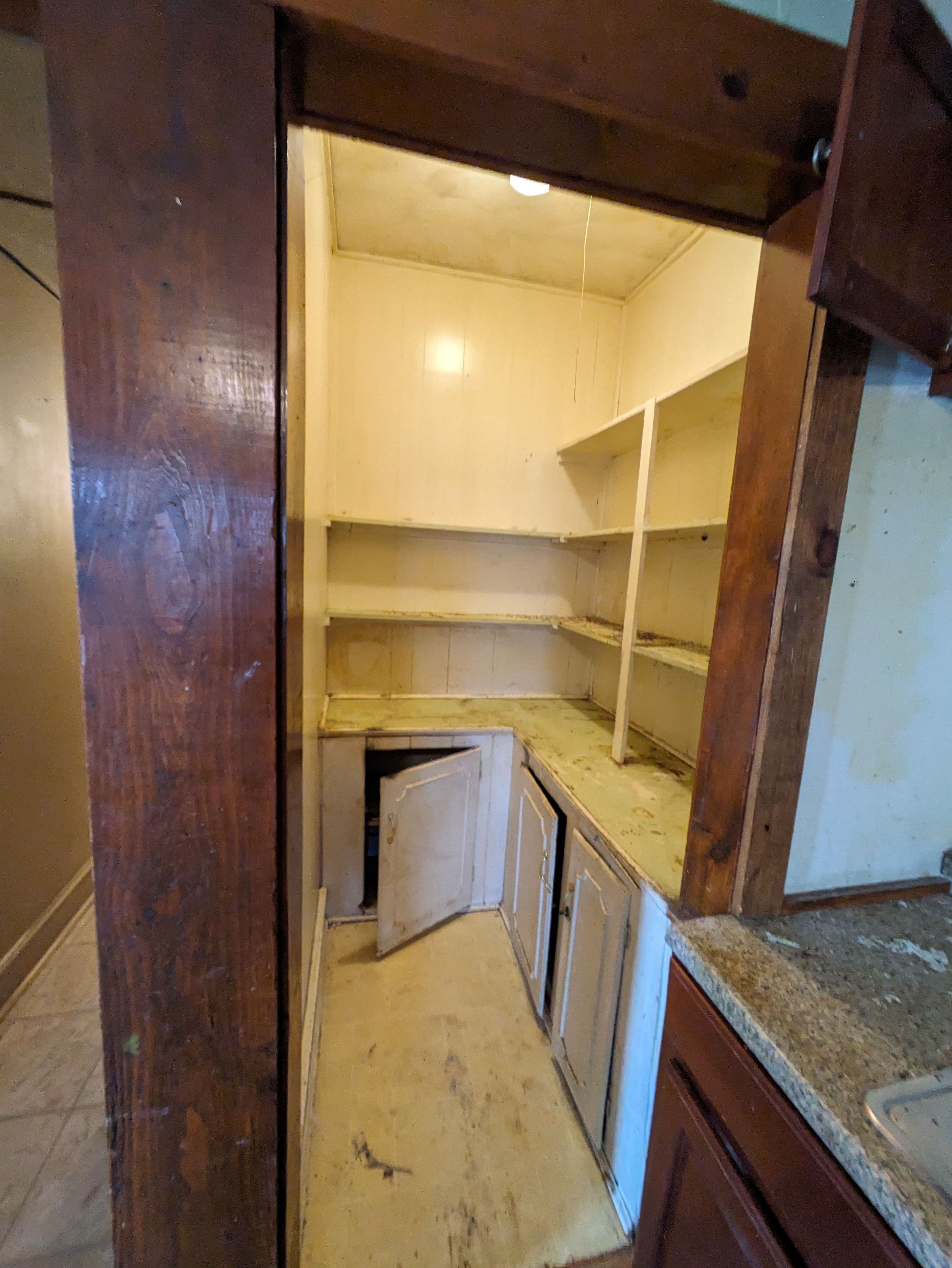 Empty kitchen pantry with shelves and a door, showcasing dated interiors and worn surfaces.