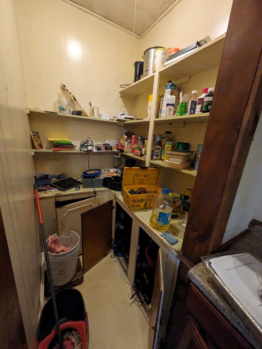 Cluttered pantry with shelves filled with various items and storage bins.